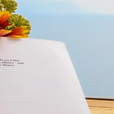 Mirela Apartamento Mimice